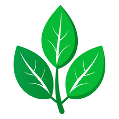 green leaf icon