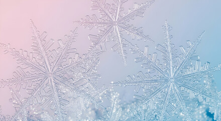 Beautiful Frosty Snowflakes on a Soft Background Showcasing Unique Patterns and Intricate Designs in a Winter Wonderland Setting