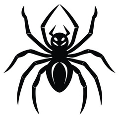 black spider isolated on white