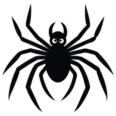 black spider on white background