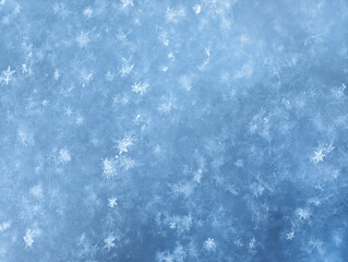 Macro photograpy of snowflakes. Background of winter fluffy snow texture.