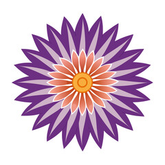 Aster Vector Icon: A Delicate Floral Touch for Digital Designs