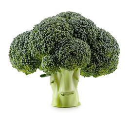 Fresh broccoli without background