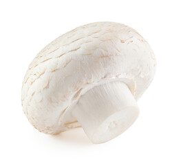 Champignon mushroom without background. Packaging design element