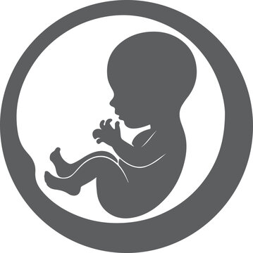 Grey silhouette of a fetus in a womb a simple graphic design representing pregnancy and new life a minimalist illustration of a baby in utero a