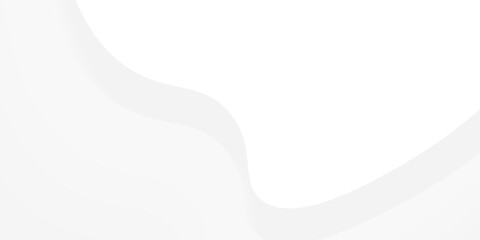 abstract white background with gradient color and artistic dynamic line decoration
