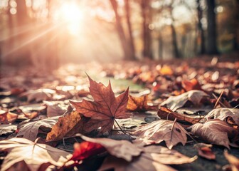 Autumn leaves scattered on green foliage under sunlight