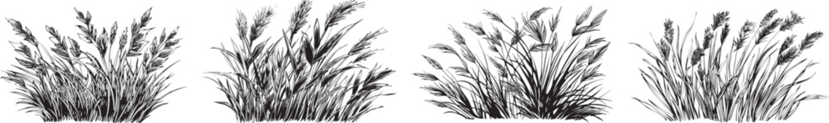 Grass Clumps Vector Illustration Isolated on White Background © SihouetteEPS