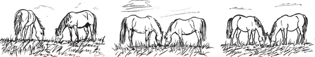 Horses Grazing Vector Illustration. Black and White Line Art.