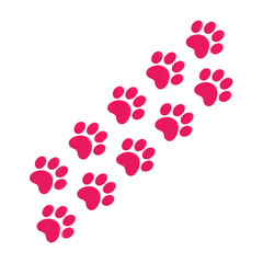 Fototapeta premium Dog paw prints isolated on transparent white background 