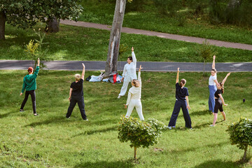 Mixed age and gender group practicing qigong in green park. Adults raising arms, focused. Sunlight casts soft shadows, lush trees in background, vibrant atmosphere