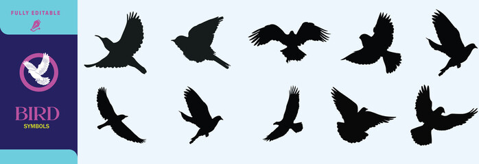 Flying bird vector and silhouette