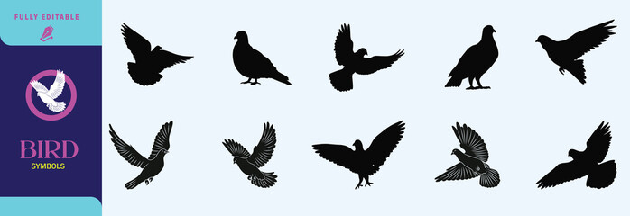 Flying bird vector and silhouette