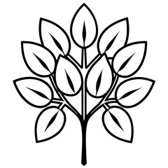 black and white flower