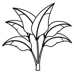 green plant isolated on white