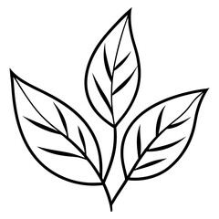 black and green leaves