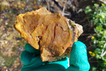 A yellow flint rock from a stream, central Russia