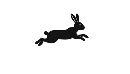 glyph icon rabbit jump isolated on transparent background