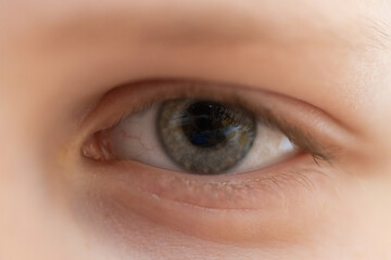 Close-Up of Green Human Eye with Reflections Revealed