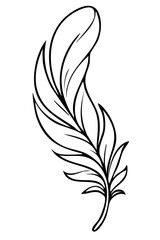 zarte Feder - Einladungen f&uuml;r Hochzeit und Geburtstag 