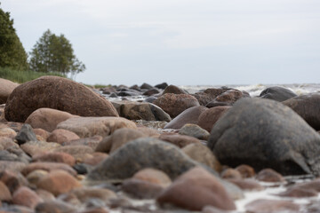 Rocky Shoreline with Large Stones and Trees Under Cloudy Sky