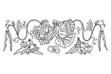 Line art botanical decorative different vegetables horizontal border pattern isolated on white background. Hand drawn outline veggies plants with Roots Stems Leaves vector illustration. Graphic design