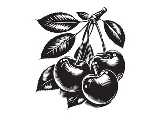 cherries with leaf logo silhouette vector, cherries with leaf logo icon, cherry fruit silhouette vector illustration, two cherries with leaves food and fruit design silhouette logo vector 