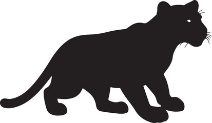  Albino leopard in silhouette purw white background.