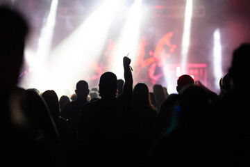 Crowd at concert and blurred stage lights.