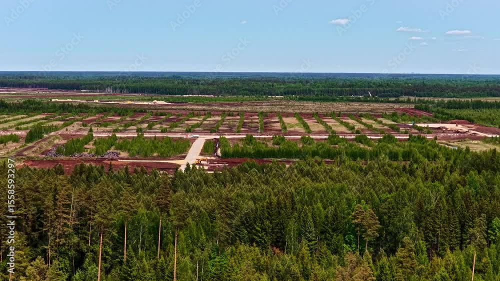 Poster extensive peat field with green strips and brown extraction rows surrounded by forest