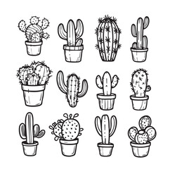 Cactus set illustration. House plant