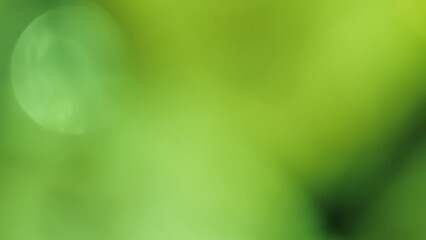 Blurred abstract green background with glow flare bokeh. Beautiful glare summer defocused backdrop. Natural juicy freshness. Horizontal video. High quality photo. © Hanna