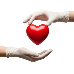 Fototapeta premium Doctor's hands gently offering a red heart—symbolizing healthcare, organ donation, and love. Perfect for medical campaigns, World Heart Day, and insurance ads. Emotional and powerful