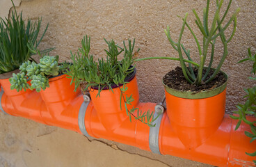 Colorful orange pipe planter with various succulent plants arranged against a textured wall for...