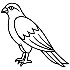 Minimal Sparrowhawk Sketch