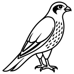 Minimal Sparrowhawk Sketch