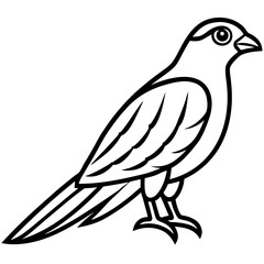 Minimal Sparrowhawk Sketch