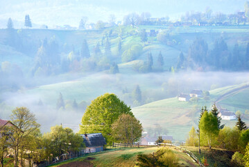 Serene countryside morning with mist rolling over gentle hills. Sunlight filters through,...