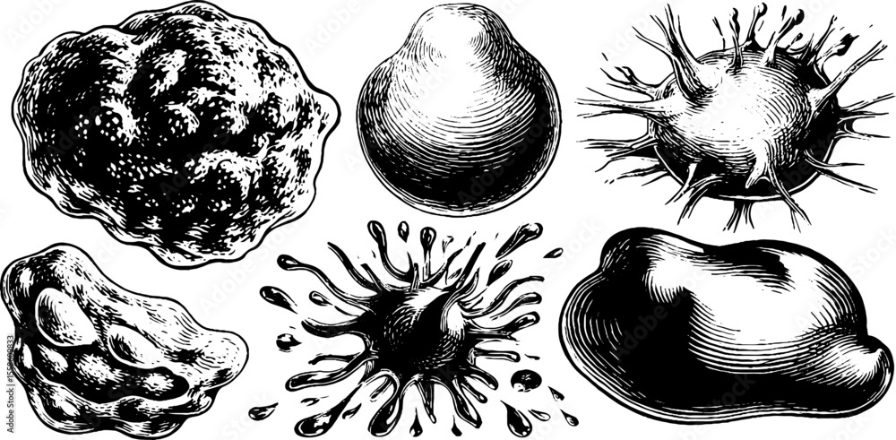 Poster abstract organic blobs and flowing masses silhouette design for art projects
