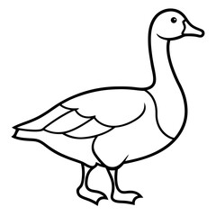 Minimalist Snow Goose Vector