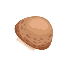 Brown cap single mushroom. Whole mushroom isolated on white. Hand drawn vector simple flat food illustration for ingredient visuals, cooking design, packaging, recipes, product decor, stickers
