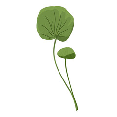 Leaf hand drawn, minimalist centella asiatica leaf vector,centella asiatica plant,facial care,natural herbal medicinal plants
