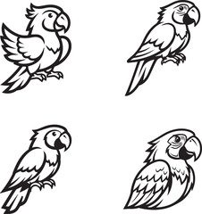 vector illustration of parrot