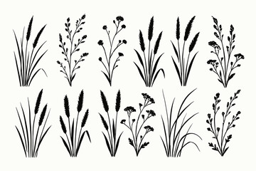 Set of solid black silhouettes of wild grass and meadow plants