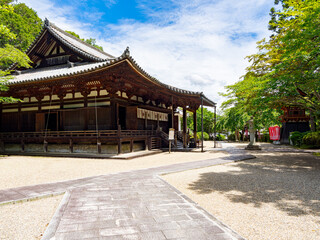 【奈良県】奈良市 霊山寺 (2025/06/25撮影)