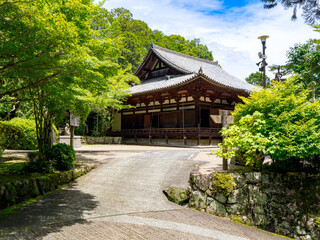 【奈良県】奈良市 霊山寺 (2025/06/25撮影)
