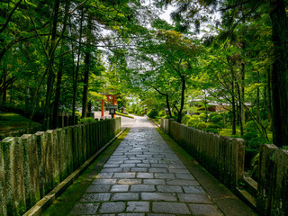 【奈良県】奈良市 霊山寺 (2025/06/25撮影)