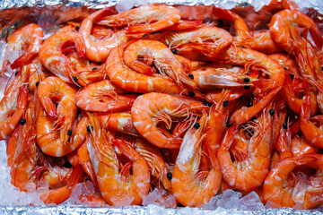 Vibrant, cooked whiteleg shrimp on crushed ice. Their bright orange and red shells highlight the fresh, delicious, ready-to-eat seafood.
