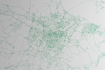 Map of the streets of Ningbo (China) made with green lines on white paper. 3d render, illustration