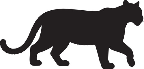  Melanistic Cougar in silhouette purw white background.